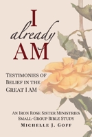 I Already AM : Testimonies of Belief in the Great I AM 1734029307 Book Cover