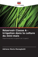 Réservoir Classe A - Irrigation dans la culture du mini-maïs: Évapotranspiration et gestion de l'irrigation (French Edition) 6206815250 Book Cover