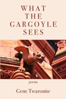 What the Gargoyle Sees 1952326869 Book Cover