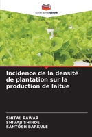 Incidence de la densité de plantation sur la production de laitue (French Edition) 6209920942 Book Cover