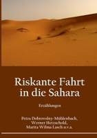 Riskante Fahrt in die Sahara: Erzählungen (German Edition) 375192292X Book Cover