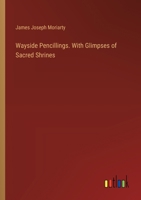 Wayside Pencillings. With Glimpses of Sacred Shrines 3385396913 Book Cover