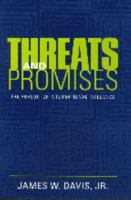 Threats and Promises: The Pursuit of International Influence 0801877369 Book Cover