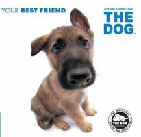 Dog: Your Best Friend 1847325815 Book Cover