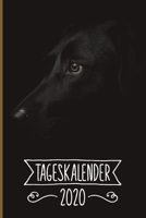 Tageskalender 2020: Terminkalender ca DIN A5 weiß über 370 Seiten I 1 Tag eine Seite I Jahreskalender I Labrador I Hunde 170208373X Book Cover