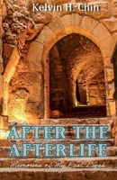 After the Afterlife: Memories of My Past Lives 0997717440 Book Cover