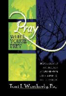 Pray While You're Prey: How God Turned My Loneliness and Frustration into Contentment and Commitment 1933518111 Book Cover
