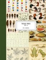 Vintage Botany Prints: Vol. 12 1723177849 Book Cover