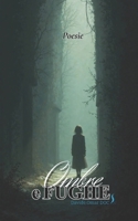 Ombre e fughe B0FG1JX2MZ Book Cover