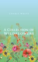 A Collection of Wildflowers 1912092298 Book Cover