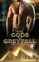 The Gods of Greyfall Collection 1732023816 Book Cover