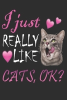 I Just Really Like Cats Ok Notebook Cute Animal Funny Cats Gift Daughter Notebook/Journal 6x9 100 Pages: I Just Really Like Cats Ok 1678903485 Book Cover