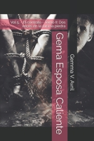 Gema Esposa Caliente: Vol 5. - El contrato - Tomo II: Dos veces en la misma piedra (Gema Esposa Caliente - la colección completa) B08GFRZDP4 Book Cover