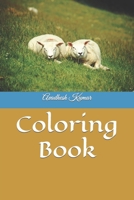 Coloring Book B0C6BYVT95 Book Cover