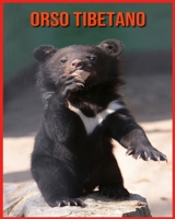 Orso Tibetano: Immagini bellissime e fatti interessanti Libro per bambini sui Orso Tibetano B08XLGG92K Book Cover