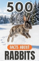 500 Fascinating Facts About Rabbits: An Educational And Entertaining Journey Through The World Of Hares Designed For Kids And Adults B0H26YH5LK Book Cover