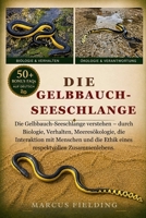 GELBBAUCH-SEESCHLANGE: Die Gelbbauch-Seeschlange verstehen – durch Biologie, Verhalten, Meeresökologie, die Interaktion mit Menschen und die Ethik eines respektvollen Zusammenlebens (German Edition) B0H2XYLDP7 Book Cover