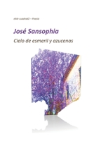 Cielo de esmeril y azucenas (Desde El Tejado) 1520940742 Book Cover