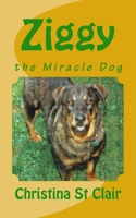 Ziggy, the Miracle Dog 1535074159 Book Cover
