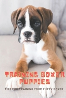 Training Boxer Puppies: Tips For Training Your Puppy Boxer B08YQMBV2R Book Cover