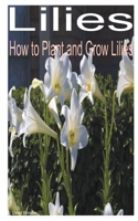 Lilies: How to Plant and Grow Lilies B09ZF485QJ Book Cover
