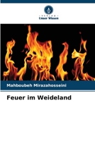 Feuer im Weideland 6205950758 Book Cover