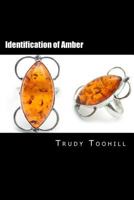 Identification of Amber: Australian Gemstones Series Book 6 1541254864 Book Cover