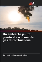 Un ambiente pulito grazie al recupero dei gas di combustione (Italian Edition) 6206947645 Book Cover
