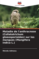 Maladie de l'anthracnose (Colletotrichum gloeosporioides) sur les mangues (Mangifera indica L.) (French Edition) 3639656563 Book Cover