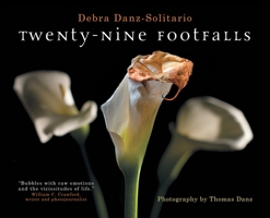 Twenty-Nine Footfalls 395250940X Book Cover