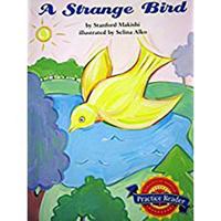 A Strange Bird 061829175X Book Cover