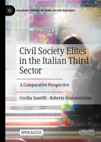 Civil Society Elites in the Italian Third Sector: A Comparative Perspective 3031714431 Book Cover