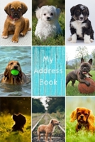 My Address Book: Dog Cover Address Book for Names, Addresses, Phone Numbers, E-mails and Birthdays 1675055009 Book Cover