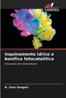 Inquinamento idrico e bonifica fotocatalitica 6205284847 Book Cover