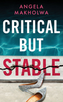 Critical But Stable 1662504470 Book Cover