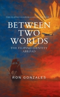 BETWEEN TWO WORLDS: The Filipino Identity Abroad, Volume II (The Filipino Diaspora Collection) B0G7YMZTRP Book Cover