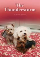 Thunderstorm, The 1584534761 Book Cover