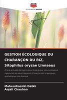 GESTION ÉCOLOGIQUE DU CHARANÇON DU RIZ, Sitophilus oryzae Linnaeus (French Edition) 620825549X Book Cover