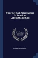 Structure And Relationships Of American Labyrinthodontidæ 1022335413 Book Cover
