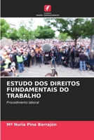 Estudo DOS Direitos Fundamentais Do Trabalho (Portuguese Edition) 6209866824 Book Cover