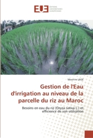 Gestion de L'Eau D'Irrigation Au Niveau de La Parcelle Du Riz Au Maroc 6131549001 Book Cover