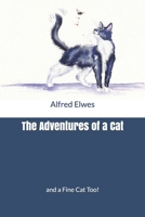 The Adventures Of A Cat, And A Fine Cat Too! 1530594685 Book Cover