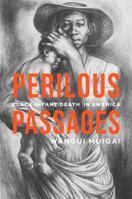 Perilous Passages: Black Infant Death in America 0674250990 Book Cover