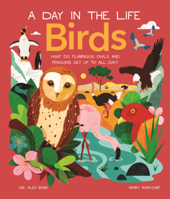 Birds: What Do Flamingos, Owls, and Penguins Get Up to All Day? B0GN5PQ8ZV Book Cover