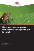 Gestion du complexe d'insectes ravageurs du brinjal (French Edition) 6207139062 Book Cover