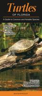 Turtles of Florida: A Guide to Common & Notable Species 1936913046 Book Cover