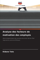 Analyse des facteurs de motivation des employés (French Edition) 6630094808 Book Cover