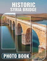 Historic Syria Bridge Photo Book: Stunning Images Of Syria's Historic Bridges | Cultural Heritage And Architectural Marvels B0DPLZ13HJ Book Cover