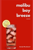 Malibu Bay Breeze B08RZ4Y7FG Book Cover