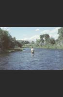 In Stream Poems 1098988655 Book Cover